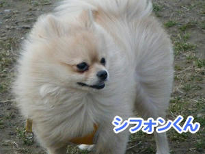 DSCF6321.jpg