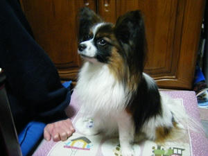 DSCF6328.jpg