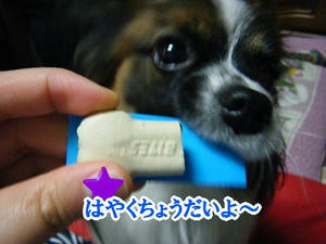 DSCF6388.jpg