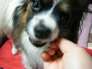 DSCF6383.jpg