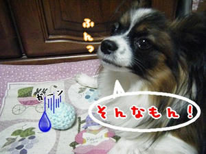 DSCF6473.jpg