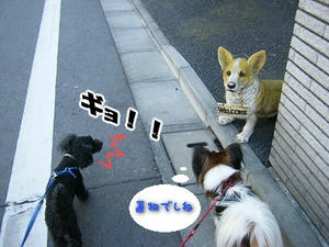 DSCF6526.jpg