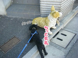 DSCF6527.jpg
