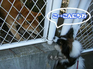 DSCF6535.jpg