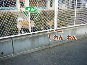 DSCF6538.jpg