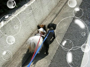 DSCF6541.jpg