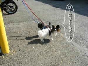 DSCF6580.jpg