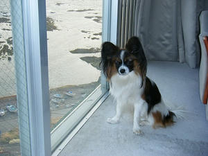 DSCF6722.jpg