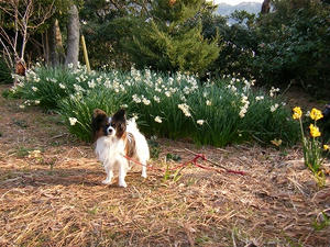 DSCF6733.jpg