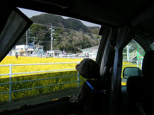 DSCF6741.jpg