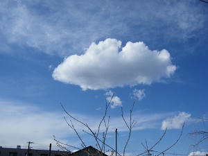 DSCF6772.jpg