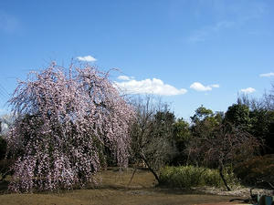 DSCF6778.jpg