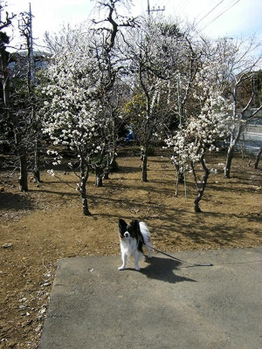 DSCF6788.jpg