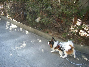 DSCF6813.jpg