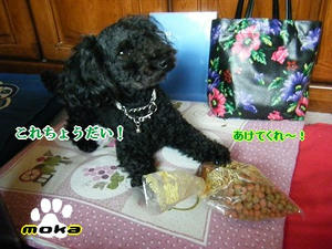 DSCF6928.jpg
