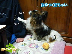 DSCF6964.jpg