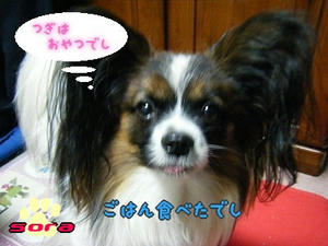DSCF7033.jpg