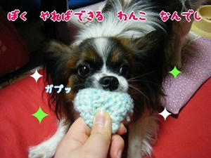 DSCF7077.jpg