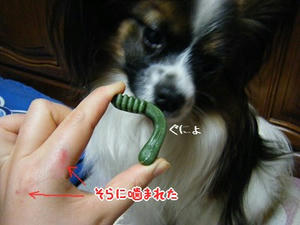 DSCF7171.jpg