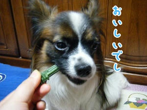 DSCF7183.jpg