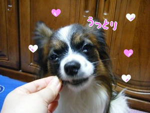 DSCF7198.jpg