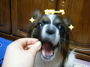 DSCF7200.jpg
