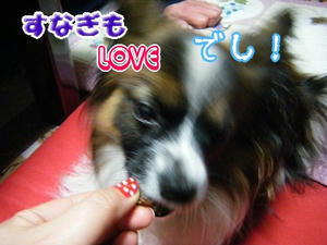 DSCF7252.jpg
