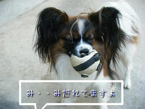 DSCF7271.jpg