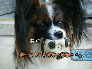 DSCF7276.jpg