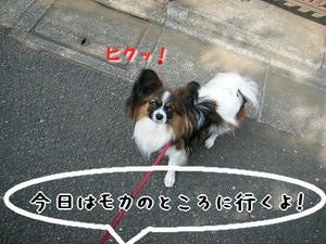 DSCF7363.jpg