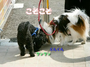 DSCF7419.jpg