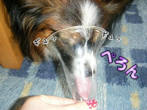 DSCF7426.jpg