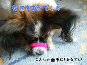 DSCF7441.jpg