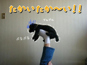 DSCF7447.jpg