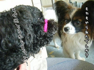 DSCF7454.jpg