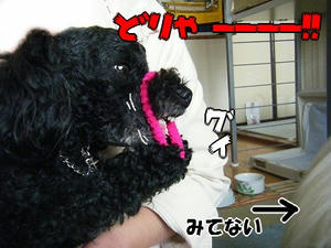 DSCF7455.jpg