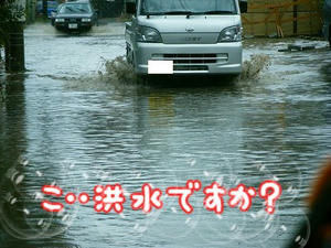DSCF7551.jpg
