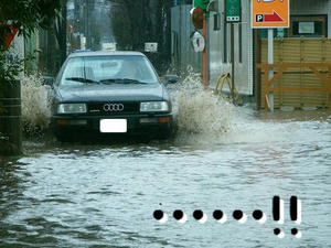 DSCF7552.jpg