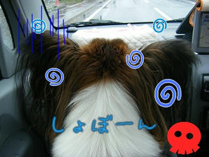 DSCF7556.jpg