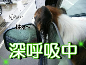 DSCF7558.jpg
