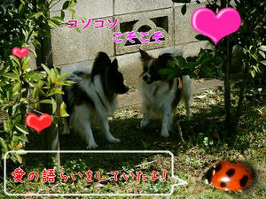 DSCF7628.jpg