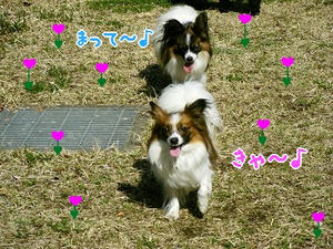 DSCF7681.jpg