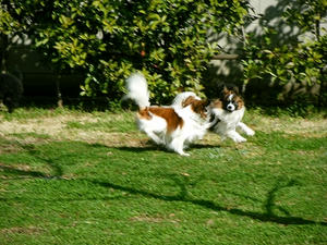 DSCF7694.jpg