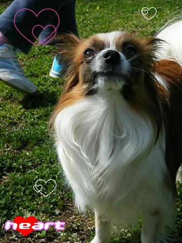 DSCF7732.jpg