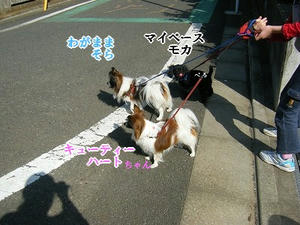 DSCF7752.jpg