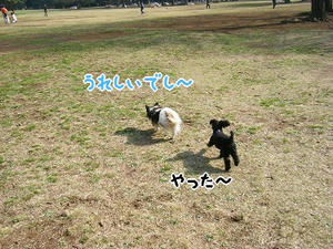 DSCF7771.jpg