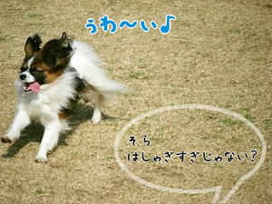 DSCF7785.jpg