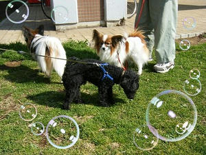 DSCF7808.jpg