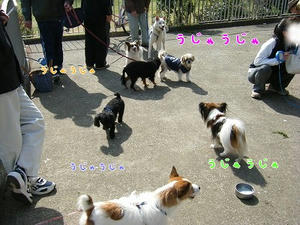 DSCF7874.jpg
