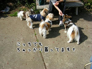 DSCF7877.jpg